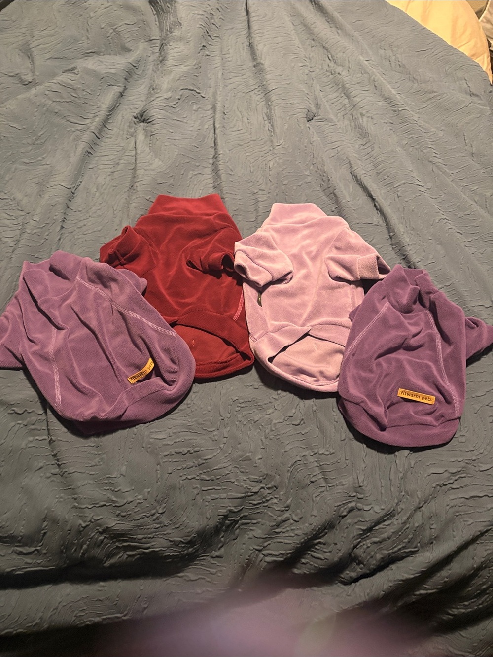 Velvet Pet Joggers - Purple, Lavender & Red